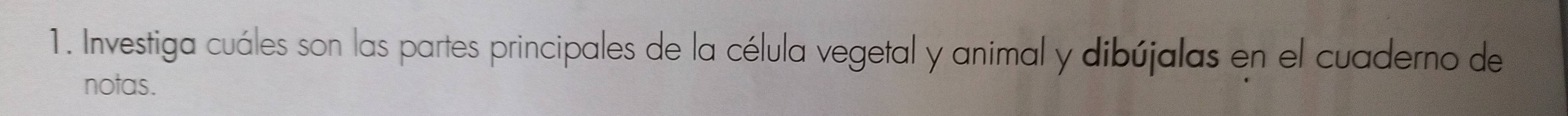 Investiga cuáles son las partes principales de la célula vegetal y animal y dibújalas en el cuaderno de 
notas.