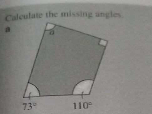 Calculate the missing angles.
a