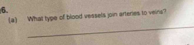 What type of blood vessels join arteries to veins? 
_