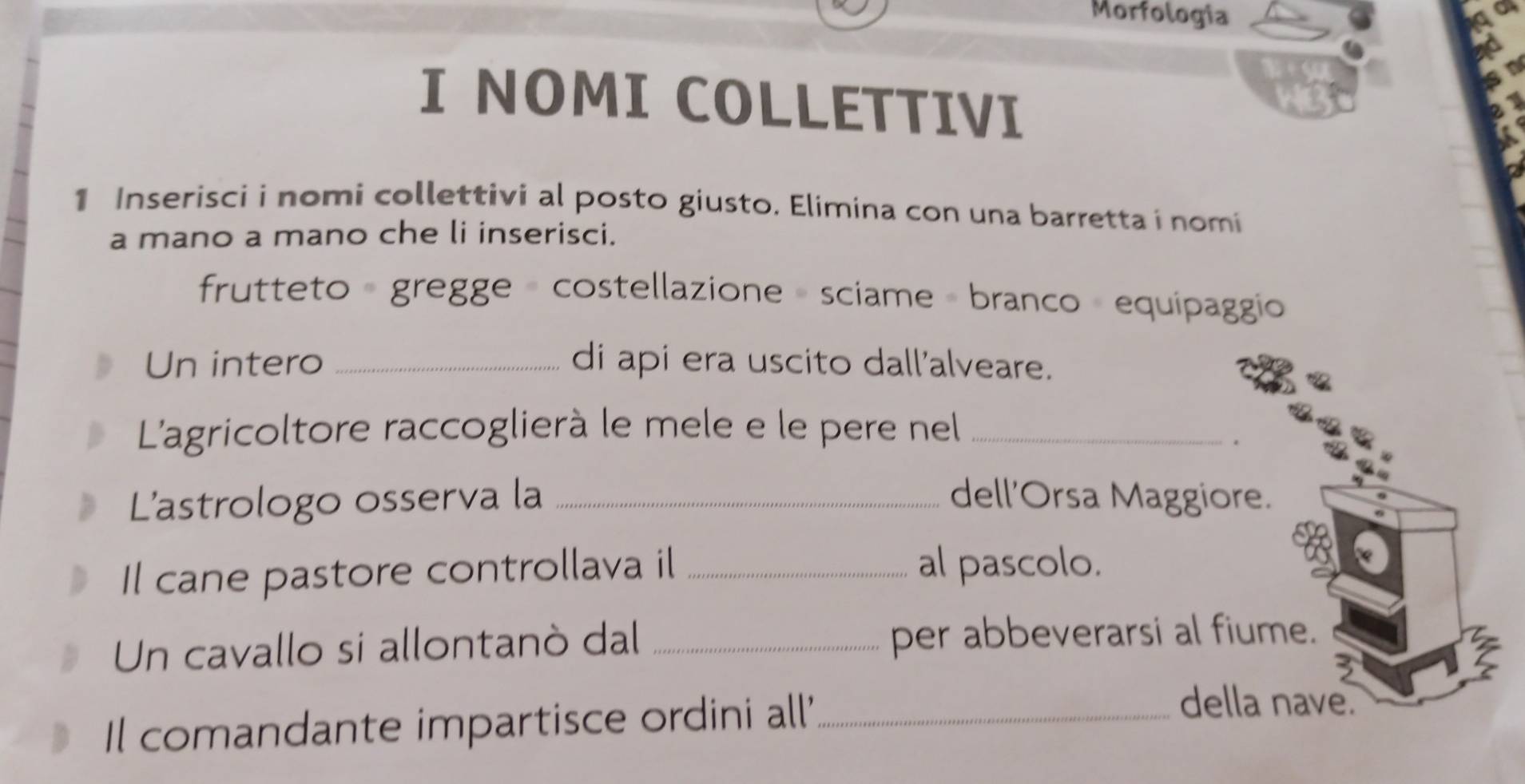 Morfologia 
I NOMI COLLETTIVI 
1 Inserisci i nomi collettivi al posto giusto. Elimina con una barretta i nomi 
a mano a mano che li inserisci. 
frutteto gregge costellazione sciame branco equipaggio 
Un intero _di api era uscito dall'alveare. 
L'agricoltore raccoglierà le mele e le pere nel_ 
L'astrologo osserva la _dell'Orsa Maggiore. 
Il cane pastore controllava il _al pascolo. 
Un cavallo si allontanó dal _per abbeverarsi al fiume. 
3 
> 
Il comandante impartisce ordini all'_ 
della nave.