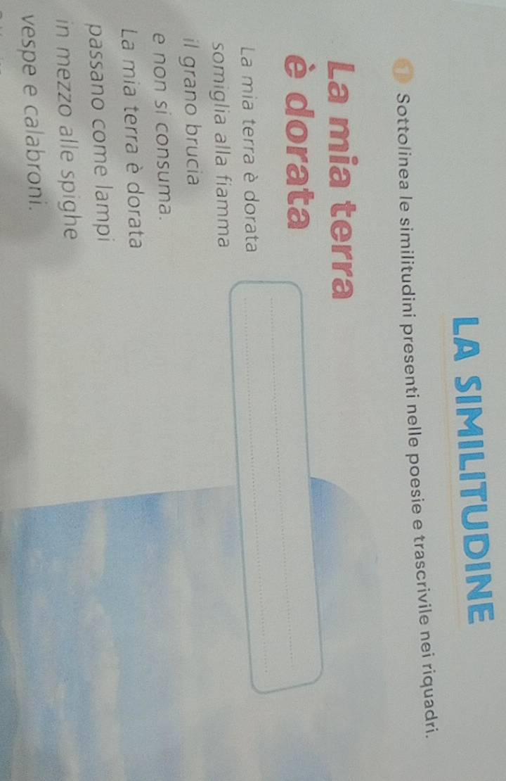 LA SIMILITUDINE 
Sottolinea le similitudini presenti nelle poesie e trascrivile nei riquadri. 
La mia terra 
è dorata 
La mia terra è dorata 
somiglia alla fiamma 
il grano brucia 
e non si consuma. 
La mia terra è dorata 
passano come lampi 
in mezzo alle spighe 
vespe e calabroni.