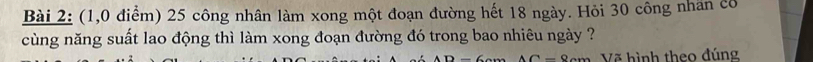 (1,0 điểm) 25 công nhân làm xong một đoạn đường hết 18 ngày. Hỏi 30 công nhân có 
cùng năng suất lao động thì làm xong đoạn đường đó trong bao nhiêu ngày ?
AC=8cmVZ hình theo đúng