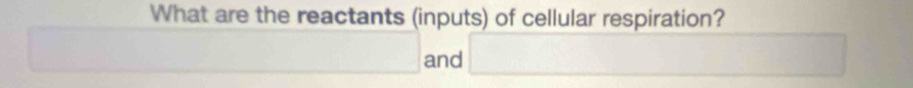 What are the reactants (inputs) of cellular respiration? 
□ and □