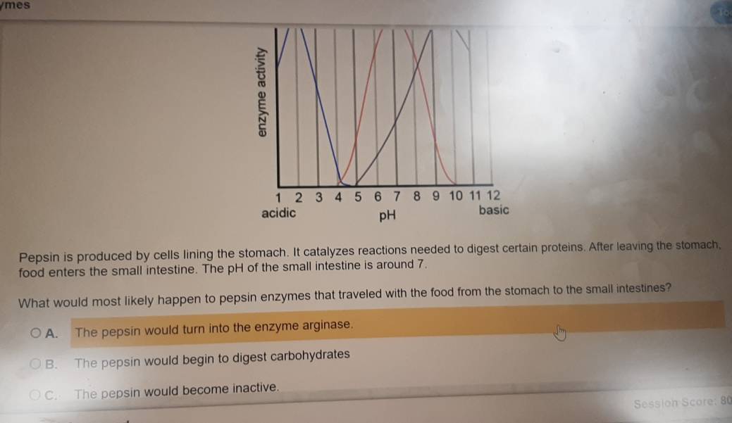 mes
Pepsin is produced by cells lining the stomach. It catalyzes reactions needed to digest certain proteins. After leaving the stomach,
food enters the small intestine. The pH of the small intestine is around 7.
What would most likely happen to pepsin enzymes that traveled with the food from the stomach to the small intestines?
A. The pepsin would turn into the enzyme arginase.
B. The pepsin would begin to digest carbohydrates
C. The pepsin would become inactive.
Session Score: 80