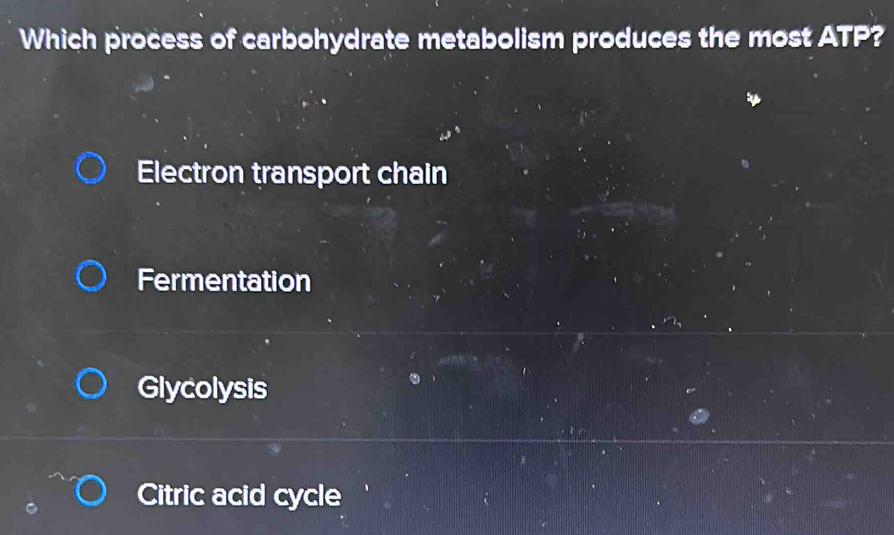 Which process of carbohydrate metabolism produces the most ATP?
Electron transport chain
Fermentation
Glycolysis
Citric acid cycle