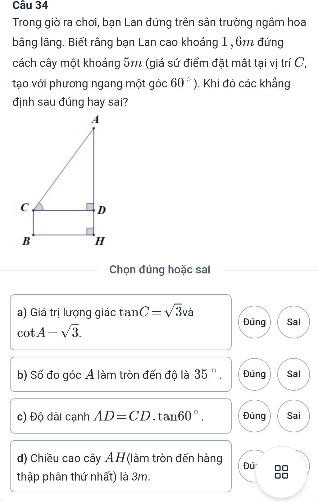 Trong giờ ra chơi, bạn Lan đứng trên sân trường ngắm hoa
bằng lăng. Biết rằng bạn Lan cao khoảng 1 , 6m đứng
cách cây một khoảng 5m (giả sử điểm đặt mắt tại vị trí C,
tạo với phương ngang một góc 60°). Khi đó các khẳng
định sau đúng hay sai?
A
C
D
B
H
Chọn đúng hoặc sai
a) Giá trị lượng giác tan C=sqrt(3)va
cot A=sqrt(3).
Đúng Sai
b) Số đo góc A làm tròn đến độ là 35°. Đúng Sai
c) Độ dài cạnh AD=CD.tan 60°. Đúng Sai
d) Chiều cao cây AH(làm tròn đến hàng
Đú 88
thập phân thứ nhất) là 3m.