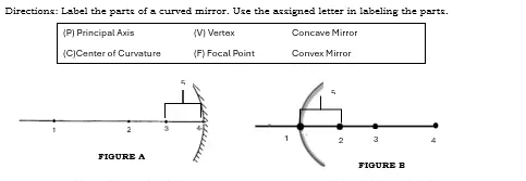 Directions: Label the parts of a curved mirror. Use the assigned letter in labeling the parts.
(P) Principal Axis (V) Vertex Conçave Märrer
(C)Center of Curvature (F) Focal Point Convex Mirror