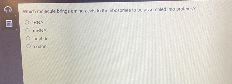 Which molecule brings amino acids to the ribosomes to be assembled into proteins?
tRNA
mRNA
peptide
codon