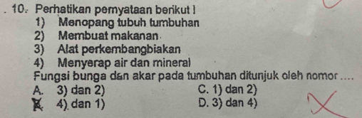 Perhatikan pemyataan berikut]
1) Menopang tubuh tumbuhan
2) Membuat makanan
3) Alat perkembangbiakan
4) Menyerap air dan mineral
Fungsi bunga dan akar pada tumbuhan ditunjuk oleh nomor ....
A. 3) dan 2) C. 1) dan 2)
( 4) dan 1) D. 3  dan 4)