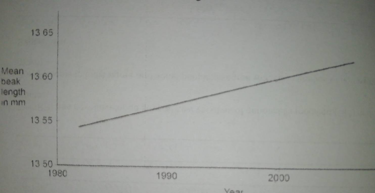 Mean 
beak 
length 
in mm
Vear