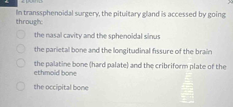 zpoits
In transsphenoidal surgery, the pituitary gland is accessed by going
through:
the nasal cavity and the sphenoidal sinus
the parietal bone and the longitudinal fissure of the brain
the palatine bone (hard palate) and the cribriform plate of the
ethmoid bone
the occipital bone