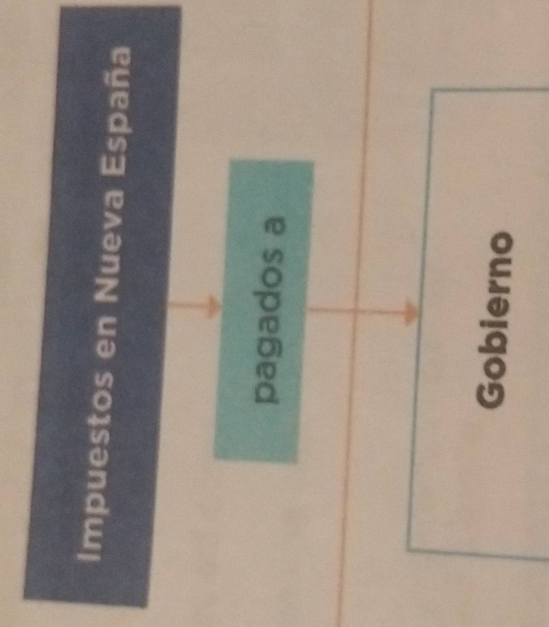 Impuestos en Nueva España 
pagados a 
Gobierno