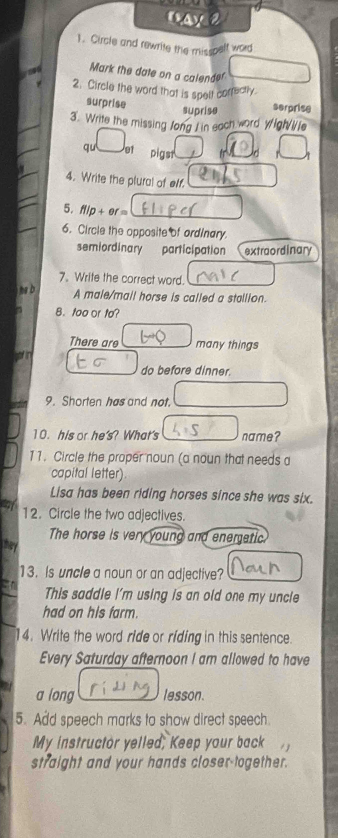 Circle and rewrite the misspelt word
Mark the date on a calender
2. Circle the word that is spelt correctly.
surprise suprise
serprise
3. Write the missing fong I in each word yigh/i/le
qu e1 pigst
4. Write the plural of olf.
5. fllp + er=
6. Circle the oppositeof ordinary.
semiordinary participation extraordinary
7. Write the correct word.
hg b
A male/mall horse is called a stallion.
B.too or to?
There are many things
in
do before dinner.
9. Shorten has and not.
10. his or he's? What's name?
11. Circle the proper noun (a noun that needs a
capital letter)
Lisa has been riding horses since she was six.
12. Circle the two adjectives.
The horse is very young and energetic
they
13. Is uncle a noun or an adjective?
This saddle I'm using is an old one my uncle
had on his farm.
14. Write the word ride or riding in this sentence.
Every Saturday afternoon I am allowed to have
a long lesson.
5. Add speech marks to show direct speech
My instructor yelled, Keep your back
straight and your hands closer-together.