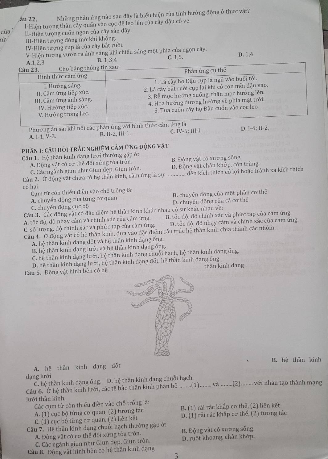 Lâu 22. Những phản ứng nào sau đây là biểu hiện của tính hướng động ở thực vật?
l-Hiện tượng thân cây quấn vào cọc đế leo lên của cây đậu cô ve.
củ a
II-Hiện tưọng cuốn ngọn của cây sắn dây.
nb III-Hiện tượng đóng mở khí khổng.
IV-Hiện tượng cụp lá của cây bắt ruồi.
V-Hiện tượng vươn ra ánh sáng khi chiếu sáng một phía của ngọn cây.
C. 1,5.
B. 1;3;4 D. 1,4
Phương án sai khi nối các phản ứ
A. I-1, V-3. D. l-4; Il-2.
B. II-2,III-1.
C. IV-5;III-L
PhầN I: câU HỏI trắC nghiệm cảm ứng động vật
Câu 1. Hệ thần kinh dạng lưới thường gặp ở:
A. Động vật có cơ thể đối xứng tỏa tròn. B. Động vật có xương sống.
C. Các ngành giun như Giun dẹp, Giun tròn. D. Động vật chân khớp, côn trùng.
Câu 2. Ở động vật chưa có hệ thần kinh, cảm ứng là sự _đến kích thích có lợi hoặc tránh xa kích thích
có hại.
Cụm từ còn thiếu điền vào chỗ trống là:
A. chuyển động của từng cơ quan B. chuyển động của một phần cơ thể
C. chuyển động cục bộ D. chuyển động của cả cơ thể
Câu 3. Các động vật có đặc điểm hệ thần kinh khác nhau có sự khác nhau về:
A. tốc độ, độ nhạy cảm và chính xác của cảm ứng. B. tốc độ, độ chính xác và phức tạp của cảm ứng.
C. số lượng, độ chính xác và phức tạp của cảm ứng. D. tốc độ, độ nhạy cảm và chính xác của cảm ứng.
Câu 4. Ở động vật có hệ thần kinh, dựa vào đặc điểm cấu trúc hệ thần kinh chia thành các nhóm:
A. hệ thần kinh dạng đốt và hệ thần kinh dạng ống.
B. hệ thần kinh dạng lưới và hệ thần kinh dạng ống.
C. hệ thần kinh dạng lưới, hệ thần kinh dạng chuỗi hạch, hệ thần kinh dạng ống.
D. hệ thần kinh dạng lưới, hệ thần kinh dạng đốt, hệ thần kinh dạng ống.
Câu 5. Động vật hình bên có hệ thần kinh dạng
B. hệ thần kinh
A. hệ thần kinh dạng đốt
dạng lưới
C. hệ thần kinh dạng ống. D. hệ thần kinh dạng chuỗi hạch.
Câu 6. Ở hệ thần kinh lưới, các tế bào thần kinh phân bố .........(1)......... và ......... ..(2)......... với nhau tạo thành mạng
lưới thần kinh.
Các cụm từ còn thiếu điền vào chỗ trống là:
A. (1) cục bộ từng cơ quan, (2) tương tác B. (1) rải rác khắp cơ thế, (2) liên kết
C. (1) cục bộ từng cơ quan, (2) liên kết D. (1) rải rác khắp cơ thể, (2) tương tác
Câu 7. Hệ thần kinh dạng chuỗi hạch thường gặp ở:
A. Động vật có cơ thể đối xứng tỏa tròn. B. Động vật có xương sống.
C. Các ngành giun như Giun dẹp, Giun tròn. D. ruột khoang, chân khớp.
Câu 8. Động vật hình bên có hệ thần kinh dạng
3