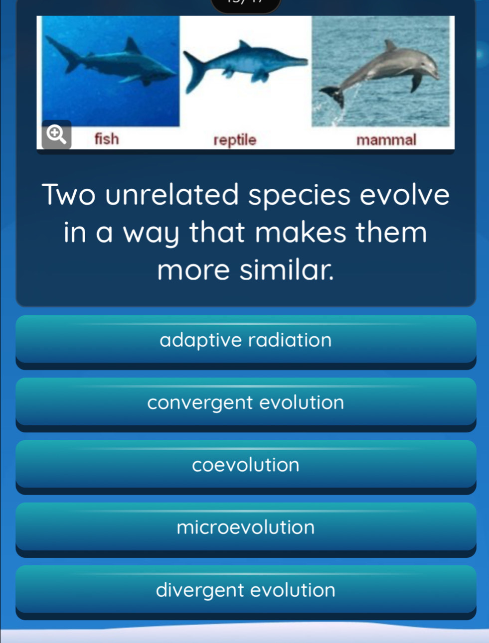 fish reptile mammal
Two unrelated species evolve
in a way that makes them
more similar.
adaptive radiation
convergent evolution
coevolution
microevolution
divergent evolution