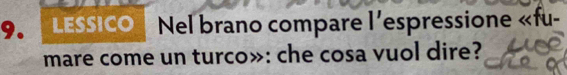 LEssico * Nel brano compare l'espressione «fu- 
mare come un turco»: che cosa vuol dire?