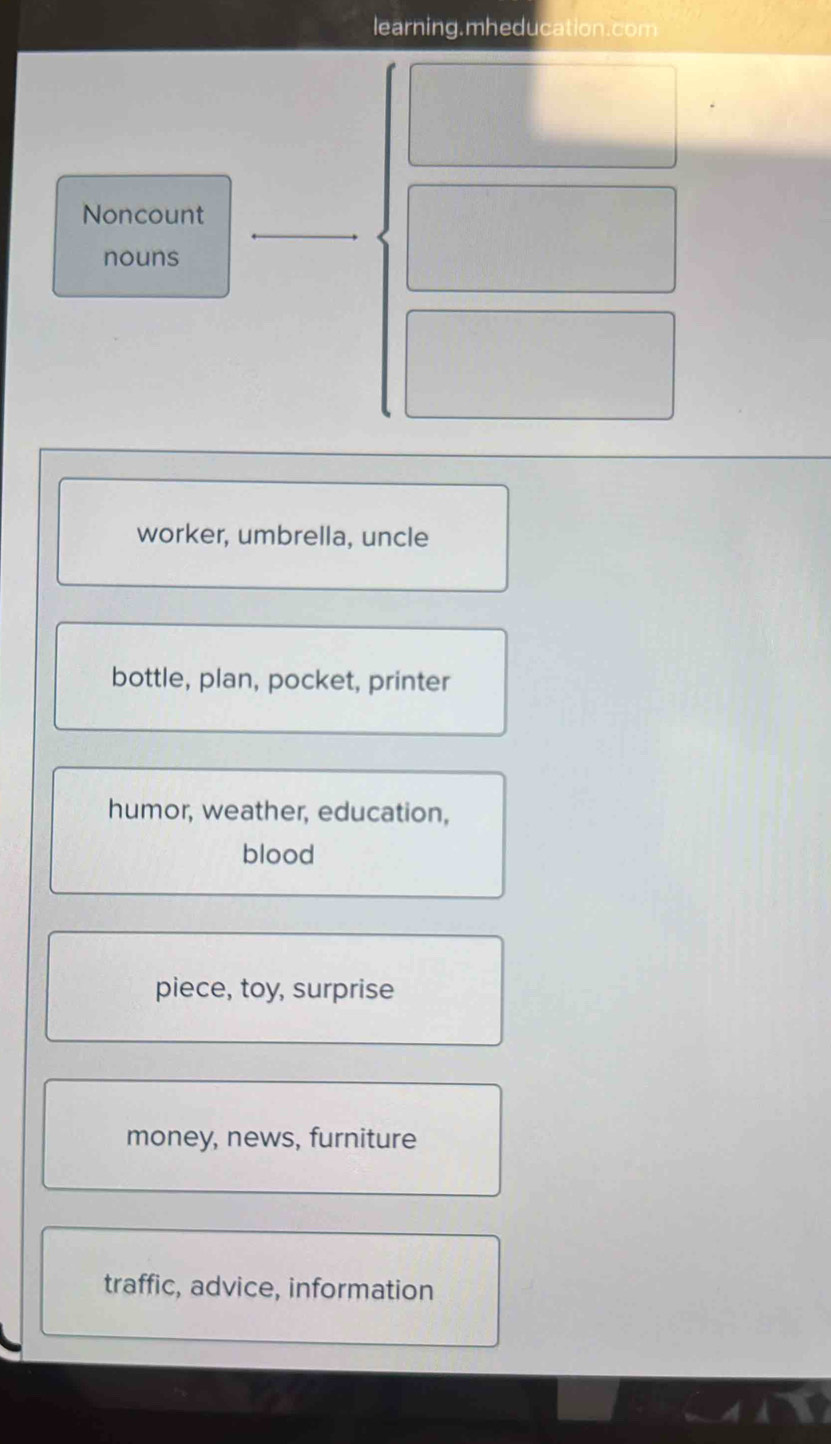 learning.mheducation.com
Noncount
nouns
worker, umbrella, uncle
bottle, plan, pocket, printer
humor, weather, education,
blood
piece, toy, surprise
money, news, furniture
traffic, advice, information