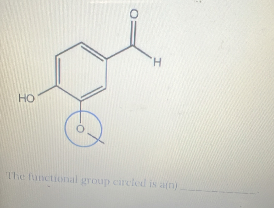 The functional group circled is a(n) 
_ 
.