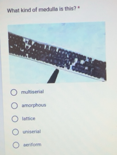 Solved: What kind of medulla is this? * multiserial amorphous lattice ...