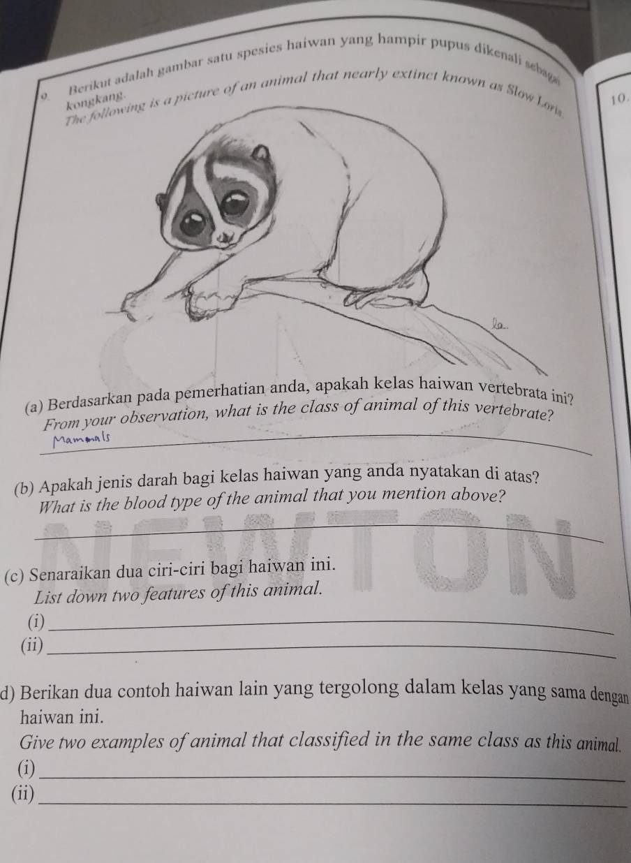 Berikut adalah gambar satu spesies haiwan yang hampir pupus dikenali seba 
k. 
Tture of an animal that nearly extinct known as Slo 
10. 
(a) Berdasarkan pada pemerhatian anda, apakah kelas haiwan vertebrata ini? 
_ 
From your observation, what is the class of animal of this vertebrate? 
(b) Apakah jenis darah bagi kelas haiwan yang anda nyatakan di atas? 
_ 
What is the blood type of the animal that you mention above? 
(c) Senaraikan dua ciri-ciri bagi haiwan ini. 
List down two features of this animal. 
(i)_ 
(ii)_ 
d) Berikan dua contoh haiwan lain yang tergolong dalam kelas yang sama dengan 
haiwan ini. 
Give two examples of animal that classified in the same class as this animal. 
(i)_ 
(ii)_