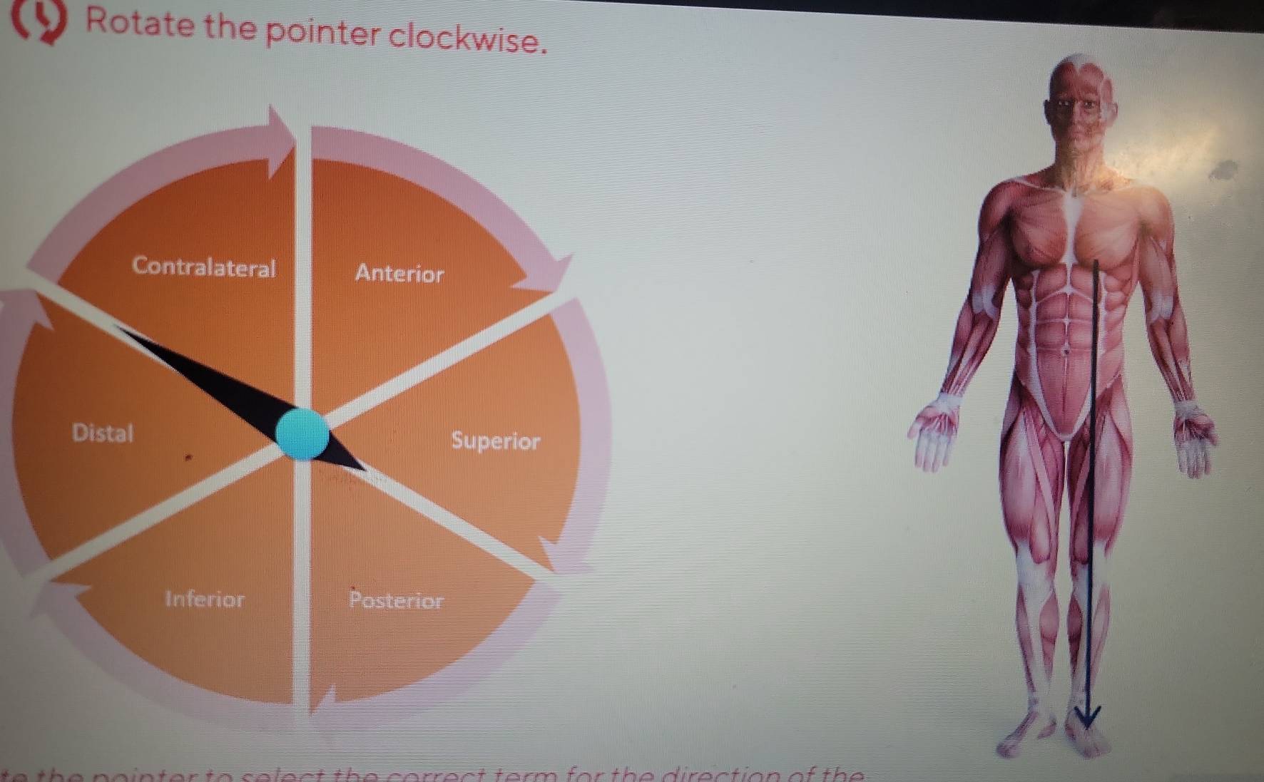 Rotate the pointer clockwise. 
c a lect the correct torm for the diraction