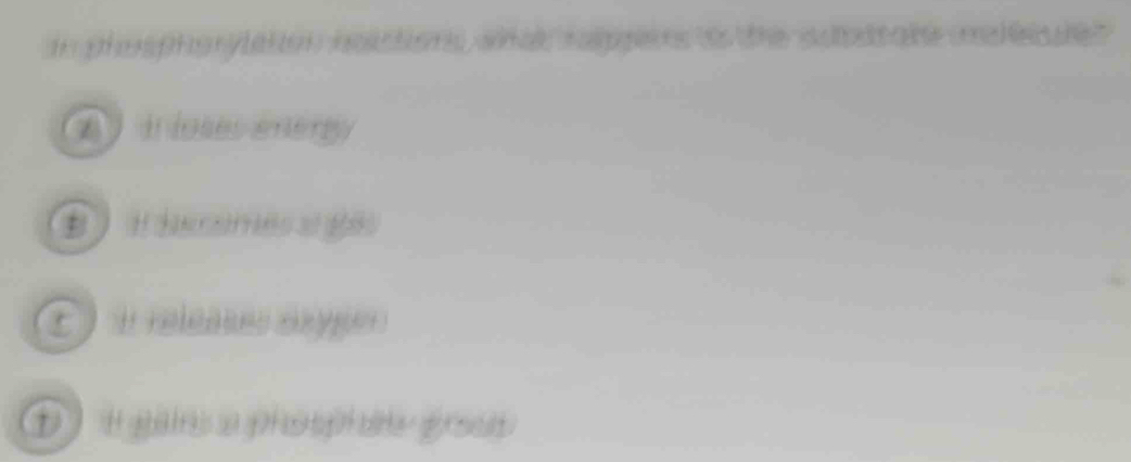 in phosphorylation nolations, wna rappers to the sutodtale meless ie r
ir loses enér
B  i hecomes et 185
l releases oxype
D i gain a phoophade grson