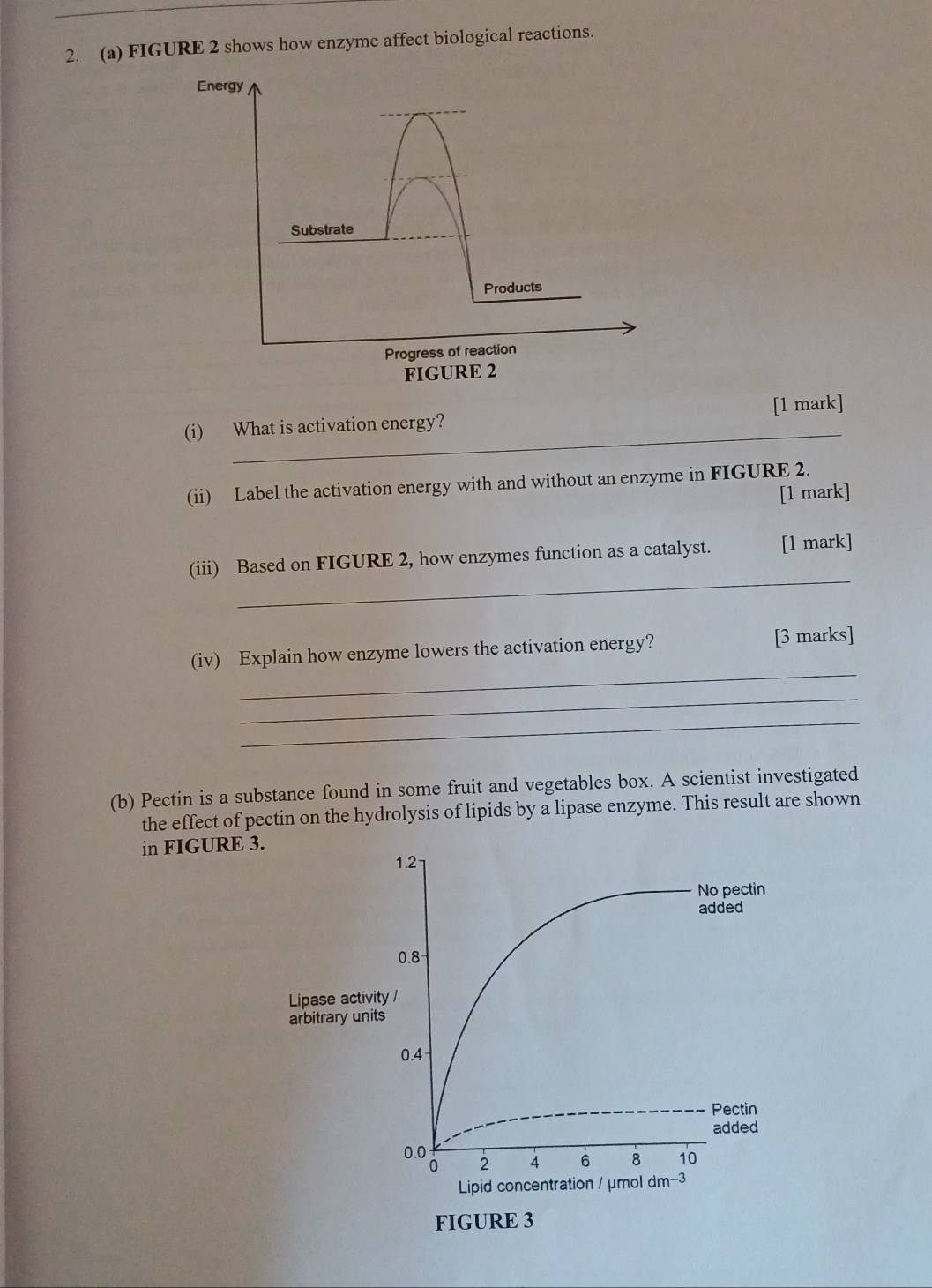 FIGURE 2 shows how enzyme affect biological reactions. 
[1 mark] 
(i) What is activation energy? 
(ii) Label the activation energy with and without an enzyme in FIGURE 2. 
[1 mark] 
_ 
(iii) Based on FIGURE 2, how enzymes function as a catalyst. [1 mark] 
_ 
(iv) Explain how enzyme lowers the activation energy? [3 marks] 
_ 
_ 
(b) Pectin is a substance found in some fruit and vegetables box. A scientist investigated 
the effect of pectin on the hydrolysis of lipids by a lipase enzyme. This result are shown 
in FIGURE 3. 
Lipase ac 
arbitrary