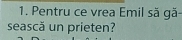 Pentru ce vrea Emil sã gã- 
sească un prieten?