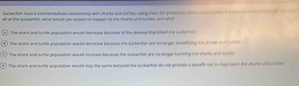 Sucker fish have a commeinsalistic ralationship with sharks and furtlie, using them fir protection and a ineasriaed It a soare daige i ng t 
all of the suckerfish, what would you expect to happen to the sharks and turtles, and why?
A) The shark and turtle population would decrease because of the disuse that killed the suher fet 
# ). The shark and turtle population would decrease because the suckerfish are no longer Benefiting the sharee and fur e
) The shark and turtle population would increase because the suckerfish are no longer herming the shert and tures
). The shark and turtle population would stay the same because the suckerfish do not provide a tenefs not to they harm the sharrs and tortes