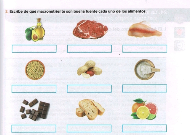 Escribe de qué macronutriente son buena fuente cada uno de los alimentos.