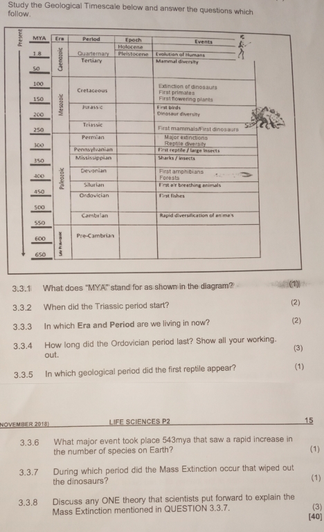 Study the Geological Timescale below and answer the questions which 
follow. 
3.3.1 What does “MYA” stand for as shown in the diagram? (1) 
3.3.2 When did the Triassic period start? (2) 
3.3.3 In which Era and Period are we living in now? (2) 
3.3.4 How long did the Ordovician period last? Show all your working. 
out. (3) 
3.3.5 In which geological period did the first reptile appear? (1) 
NOVEMBER 2018) LIFE SCIENCES P2 
15 
3.3.6 What major event took place 543mya that saw a rapid increase in 
the number of species on Earth? (1) 
3.3.7 During which period did the Mass Extinction occur that wiped out 
the dinosaurs? (1) 
3.3.8 Discuss any ONE theory that scientists put forward to explain the 
Mass Extinction mentioned in QUESTION 3.3.7. (3) 
[40]