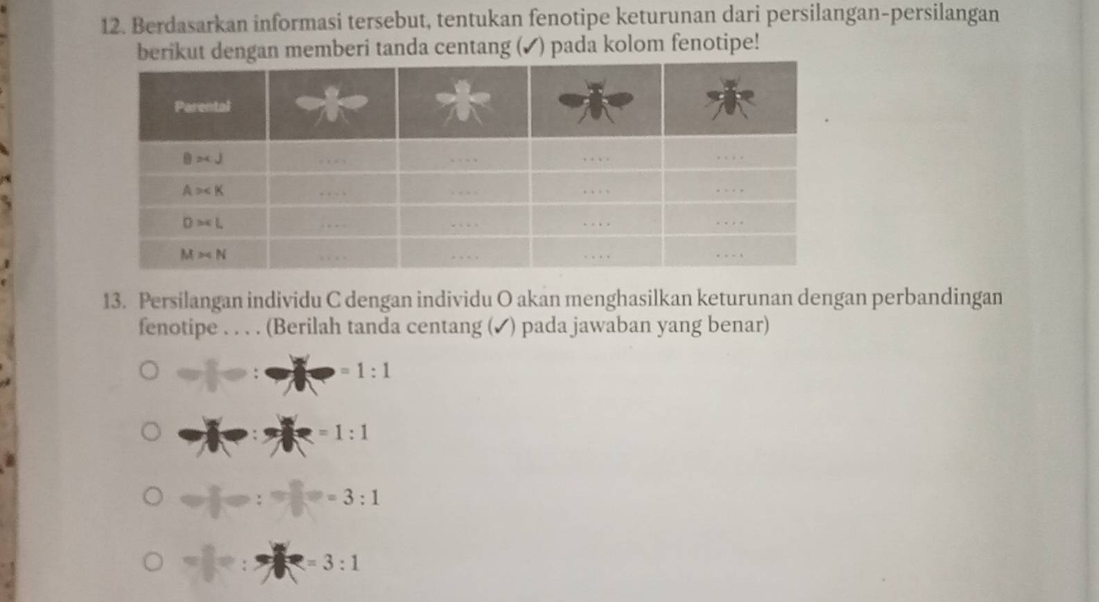 Berdasarkan informasi tersebut, tentukan fenotipe keturunan dari persilangan-persilangan
berikut dengan memberi tanda centang (✔) pada kolom fenotipe!
13. Persilangan individu C dengan individu O akan menghasilkan keturunan dengan perbandingan
fenotipe . . . . (Berilah tanda centang (✔) pada jawaban yang benar)
=1:1
=1:1
=3:1
□
=3:1