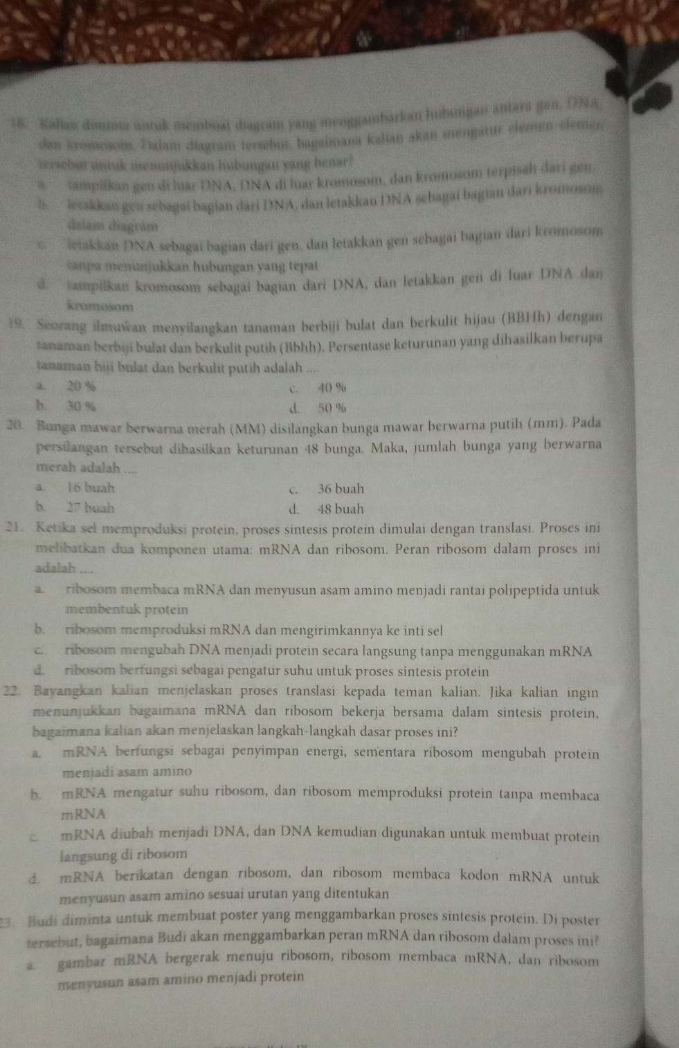 Kalian diminma unruk membuat diagram yang menggambarkan hubumgan antara gen, DNA
dan kromosom. Dalam diagram tersebut, bagaimana kalian akan mengatur elémen-elemen
tersebut untuk menunjukkan hubungan yang benar?
a tampilkan gen di luar DNA, DNA di luar kromosom, dan kromosom terpisah dari gen
l.  letakkan gen sebagaí bagian dari DNA, dan letakkan DNA sebagai bagian dari kromosom
dalam diagram
c letakkan DNA sebagaï bagian dari gen, dan letakkan gen sebagai bagian dari kromosom
tanpa menunjukkan hubungan yang tepat
a tampilkan kromosom sebagaí bagian dari DNA, dan letakkan gen di luar DNA dan
kromosom
19. Seorang ilmuwan menyilangkan tanaman berbiji bulat dan berkulit hijau (BBHh) dengan
sanaman berbiji bulat dan berkulit putih (Bbhh). Persentase keturunan yang dihasilkan berupa
tanaman biji bulat dan berkulit putih adalah ....
a. 20 % c. 40 %
b. 30 % d. 50 %
20. Bunga mawar berwarna merah (MM) disilangkan bunga mawar berwarna putih (mm). Pada
persilangan tersebut dihasilkan keturunan 48 bunga. Maka, jumlah bunga yang berwarna
merah adalah ....
a. 16 buah c. 36 buah
b. 27 buah d. 48 buah
21. Ketika sel memproduksi protein, proses sintesis protein dimulai dengan translasi. Proses ini
melibatkan dua komponen utama: mRNA dan ribosom. Peran ribosom dalam proses ini
adalah
a.  ribosom membaca mRNA dan menyusun asam amino menjadi rantai polipeptida untuk
membentuk protein
b. ribosom memproduksi mRNA dan mengirimkannya ke inti sel
c.  ribosom mengubah DNA menjadi protein secara langsung tanpa menggunakan mRNA
d. ribosom berfungsi sebagai pengatur suhu untuk proses sintesis protein
22. Bayangkan kalian menjelaskan proses translasi kepada teman kalian. Jika kalian ingin
menunjukkan bagaimana mRNA dan ribosom bekerja bersama dalam sintesis protein,
bagaimana kalian akan menjelaskan langkah-langkah dasar proses ini?
a. mRNA berfungsi sebagai penyimpan energi, sementara ribosom mengubah protein
menjadi asam amino
b. mRNA mengatur suhu ribosom, dan ribosom memproduksi protein tanpa membaca
mRNA
mRNA diubah menjadi DNA, dan DNA kemudian digunakan untuk membuat protein
langsung di ribosom
d. mRNA berikatan dengan ribosom, dan ribosom membaca kodon mRNA untuk
menyusun asam amino sesuai urutan yang ditentukan
3. Budi diminta untuk membuat poster yang menggambarkan proses sintesis protein. Di poster
tersebut, bagaimana Budi akan menggambarkan peran mRNA dan ribosom dalam proses ini?
a gambar mRNA bergerak menuju ribosom, ribosom membaca mRNA, dan ribosom
menyusun asam amino menjadi protein