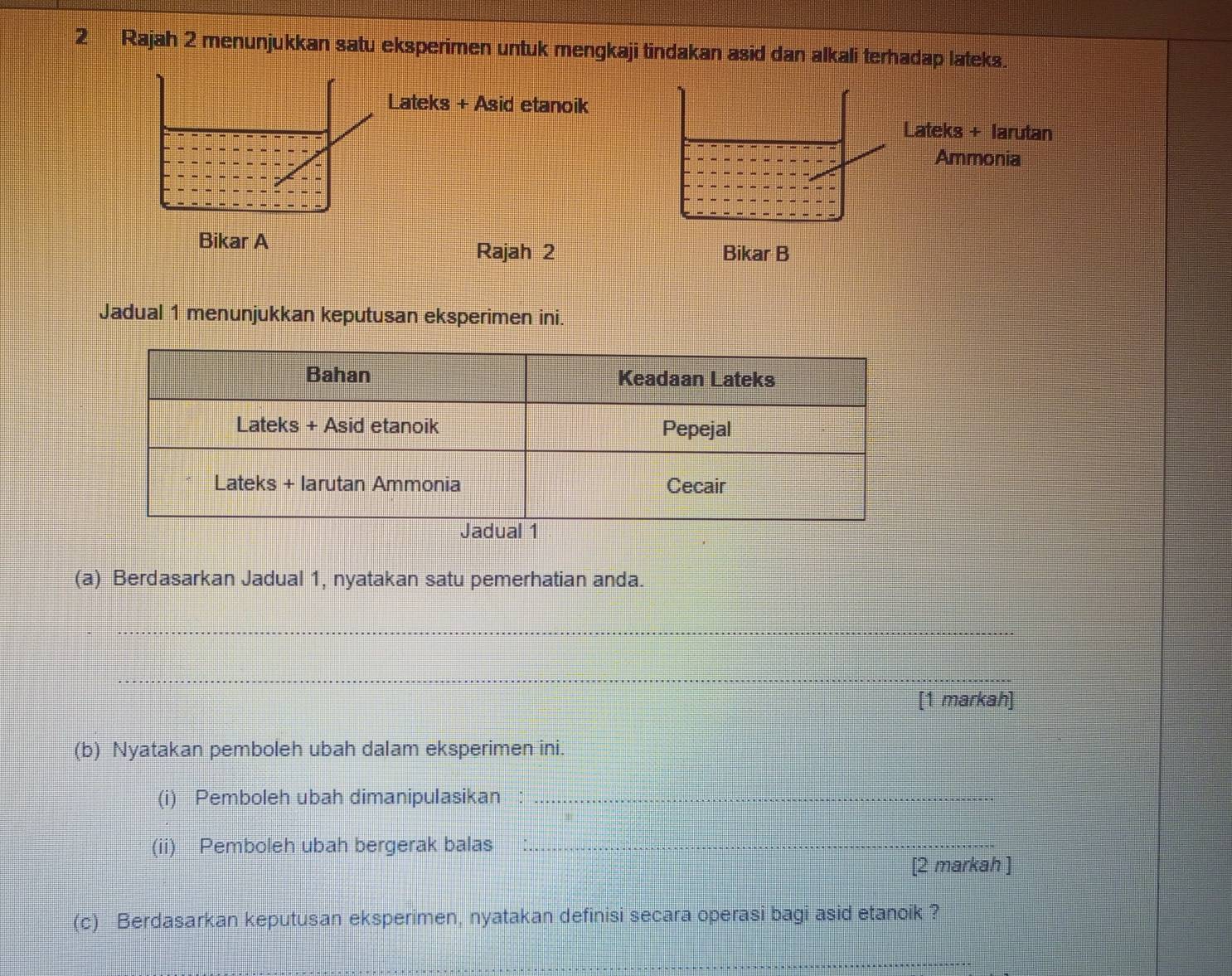 Rajah 2 menunjukkan satu eksperimen untuk mengkaji tindakan asid dan alkali terhadap lateks. 
Lateks + Asid etanoik 
Lateks + larutan 
Ammonia 
Bikar A 
Rajah 2 Bikar B 
Jadual 1 menunjukkan keputusan eksperimen ini. 
(a) Berdasarkan Jadual 1, nyatakan satu pemerhatian anda. 
_ 
_ 
_[1 markah] 
(b) Nyatakan pemboleh ubah dalam eksperimen ini. 
(i) Pemboleh ubah dimanipulasikan :_ 
(ii) Pemboleh ubah bergerak balas_ 
[2 markah ] 
(c) Berdasarkan keputusan eksperimen, nyatakan definisi secara operasi bagi asid etanoik ?