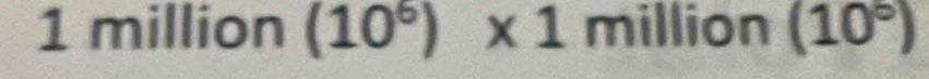 1 million (10^6)* 1 million (10°)