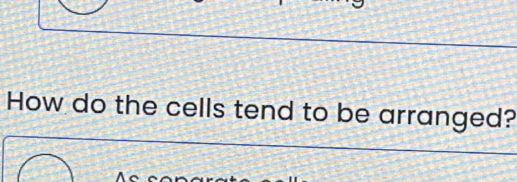 How do the cells tend to be arranged?