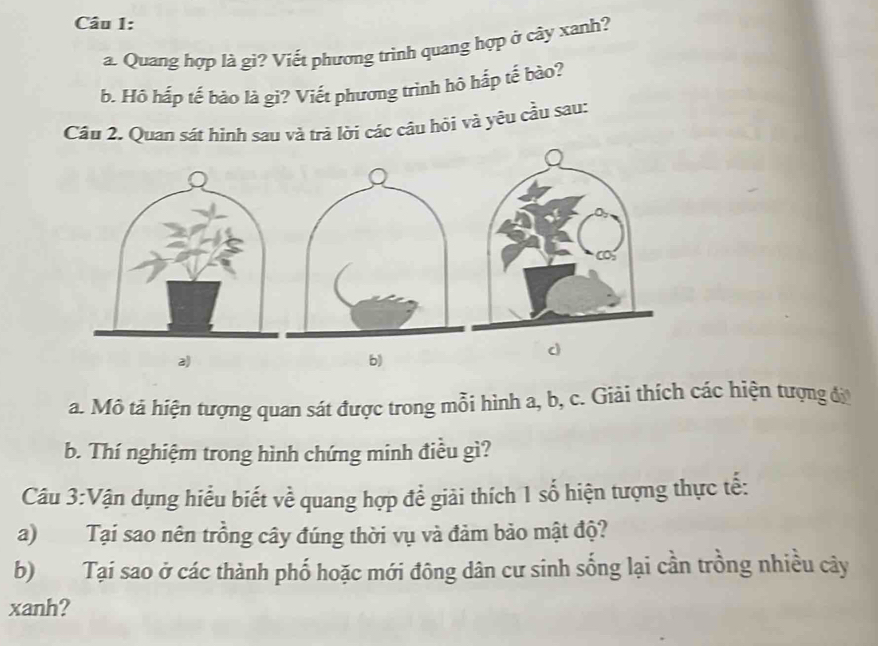 Quang hợp là gi? Viết phương trình quang hợp ở cây xanh? 
b. Hồ hấp tế bào là gi? Viết phương trình hộ hấp tể bào? 
Câu 2. Quan sát hình sau và trả lời các câu hỏi và yêu cầu sau: 
2) 
b) 
c 
a. Mô tả hiện tượng quan sát được trong mỗi hình a, b, c. Giải thích các hiện tượng đi 
b. Thí nghiệm trong hình chứng minh điều gì? 
Câu 3:Vận dụng hiểu biết về quang hợp đề giải thích 1 số hiện tượng thực tế: 
a) Tại sao nên trồng cây đúng thời vụ và đảm bảo mật độ? 
b) Tại sao ở các thành phố hoặc mới đông dân cư sinh sống lại cần trồng nhiều cây 
xanh?