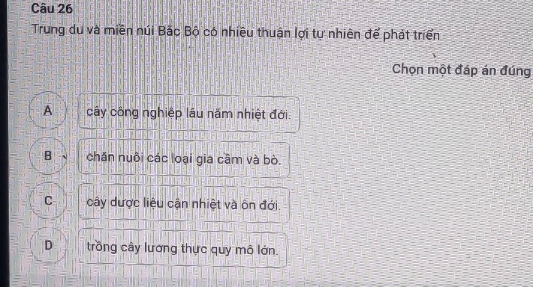 Trung du và miền núi Bắc Bộ có nhiều thuận lợi tự nhiên để phát triển
Chọn một đáp án đúng
A cây công nghiệp lâu năm nhiệt đới.
B chăn nuôi các loại gia cầm và bò.
C cây dược liệu cận nhiệt và ôn đới.
D trồng cây lương thực quy mô lớn.