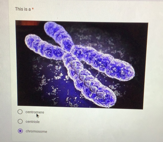 This is a *
centromere
centriole
chromosome