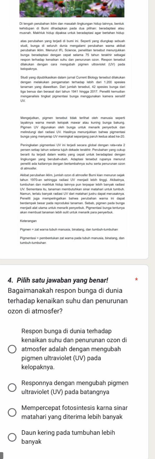 Di tengah perubahan iklim dan masalah lingkungan hidup lainnya, bentuk
kehidupan di Bumi dihadapkan pada dua pilihan: beradaptasi atau
musnah. Makhluk hidup dipaksa untuk beradaptasi agar bertahan hidup
atas perubahan yang terjadi di bumi ini. Seperti yang diungkap sebuah
studi, bunga di seluruh dunia mengalami perubahan warna akibat
perubahan iklim. Menurut IFL Science, penelitian tersebut menunjukkan
bunga beradaptasi dengan cepat selama 75 tahun terakhir sebagai
kelopaknya.
tanaman yang diawetkan. Dari jumlah tersebut, 42 spesies bunga dari
tiga benua dan berasal dari tahun 1941 hingga 2017. Peneliti kemudian
menganalisis tingkat pigmentasi bunga menggunakan kamera sensitif
UV.
Mengejutkan, pigmen tersebut tidak terlihat oleh manusia seperti
layaknya warna merah kelopak mawar atau kuning bunga bakung.
Pigmen UV digunakan oleh bunga untuk menarik penyerbuk dan
melindungi dari radiasi UV. Hasilnya menunjukkan bahwa pigmentasi
bunga yang menyerap UV meningkat sepanjang paruh kedua abad ke-20.
berarti itu terjadi dalam waktu yang cepat untuk beradaptasi dengan
lingkungan yang berubah-ubah. Adaptasi tersebut rupanya menurut
peneliti ada kaitannya dengan bertambahnya suhu serta penurunan ozon
Akibat perubahan iklim, jumlah ozon di atmosfer Bumi kian menurun sejak
tahun 1970-an sehingga radiasi UV menjadi lebih tinggi. Akibatnya,
tumbuhan dan makhluk hidup lainnya pun terpapar lebih banyak radiasi
UV. Sementara itu, tanaman membutuhkan sinar matahari untuk tumbuh.
Namun, terlalu banyak radiasi UV dari matahari justru dapat merusaknya.
Peneliti juga memperingatkan bahwa perubahan warna ini dapat
berdampak besar pada reproduksi tanaman. Sebab, pigmen pada bunga
menjadi alat utama untuk menarik penyerbuk. Pigmentasi bunga tentunya
akan membuat tanaman lebih sulit untuk menarik para penyerbuk.
Keterangan
Pigmen = zat warna tubuh manusia, binatang, dan tumbuh-tumbuhan
Pigmentasi = pembentukan zat warna pada tubuh manusia, binatang, dan
tumbuh-tumbuhan
4. Pilih satu jawaban yang benar!
Bagaimanakah respon bunga di dunia
terhadap kenaikan suhu dan penurunan
ozon di atmosfer?
Respon bunga di dunia terhadap
kenaikan suhu dan penurunan ozon di
atmosfer adalah dengan mengubah
pigmen ultraviolet (UV) pada
kelopaknya.
Responnya dengan mengubah pigmen
ultraviolet (UV) pada batangnya
Mempercepat fotosintesis karna sinar
matahari yang diterima lebih banyak
Daun kering pada tumbuhan lebih
banyak