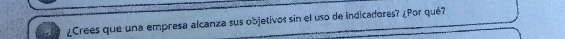 ¿Crees que una empresa alcanza sus objetivos sin el uso de indicadores? ¿Por qué?