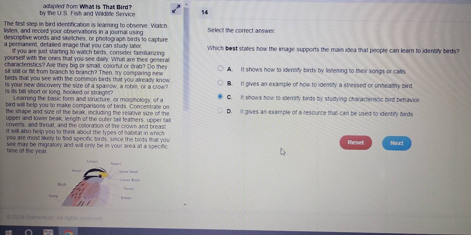 adapted from What Is That Bird?
by the U.S. Fish and Wildlife Service
、 14
The first step in bird identification is learning to observe. Watch
listen, and record your observations in a journal using
Select the correct answer.
descriptive words and sketches, or photograph birds to capture
a permanent, detailed image that you can study later. Which best states how the image supports the main idea that people can learn to identify birds?
If you are just starting to watch birds, consider familiarizing
yourself with the ones that you see daily. What are their general
characteristics? Are they big or small, colorful or drab? Do they A. It shows how to identify birds by listening to their songs or calls.
sit still or flit from branch to branch? Then, try comparing new
birds that you see with the common birds that you already know B. It gives an example of how to identify a stressed or unhealthy bird.
Is your new discovery the size of a sparrow, a robin, or a crow?
Is its bill short or long, hooked or straight?
Learning the basic form and structure, or morphology, of a
C. It shows how to identify birds by studying characteristic bird behavior
bird will help you to make comparisons of birds. Concentrate on
the shape and size of the beak, including the relative size of the D. It gives an example of a resource that can be used to identify birds.
upper and lower beak; length of the outer tail feathers, upper tail
coverts, and throat; and the coloration of the crown and breast.
It will also help you to think about the types of habitat in which
you are most likely to find specific birds, since the birds that you
Reset
see may be migratory and will only be in your area at a specific Next
time of the year.
© 2024 Edmentum. All rights reserved