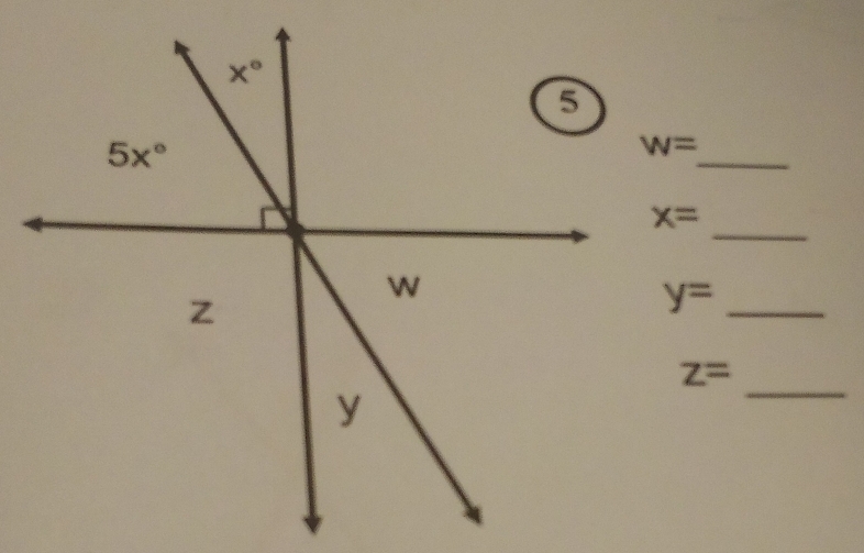 w=
_
x=
_ y=
_
z=