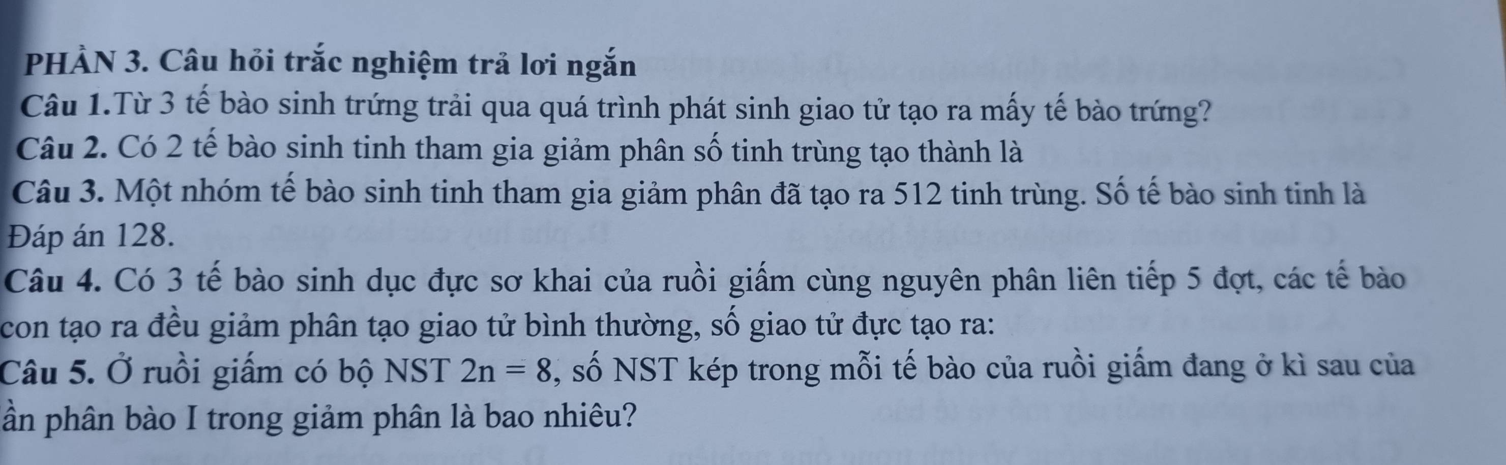 PHẢN 3. Câu hỏi trắc nghiệm trả lơi ngắn 
Câu 1.Từ 3 tế bào sinh trứng trải qua quá trình phát sinh giao tử tạo ra mấy tế bào trứng? 
Câu 2. Có 2 tế bào sinh tinh tham gia giảm phân số tinh trùng tạo thành là 
Câu 3. Một nhóm tế bào sinh tinh tham gia giảm phân đã tạo ra 512 tinh trùng. Số tế bào sinh tinh là 
Đáp án 128. 
Câu 4. Có 3 tế bào sinh dục đực sơ khai của ruồi giấm cùng nguyên phân liên tiếp 5 đợt, các tế bào 
con tạo ra đều giảm phân tạo giao tử bình thường, số giao tử đực tạo ra: 
Câu 5. Ở ruồi giấm có bộ NST 2n=8 , số NST kép trong mỗi tế bào của ruồi giấm đang ở kì sau của 
ần phân bào I trong giảm phân là bao nhiêu?