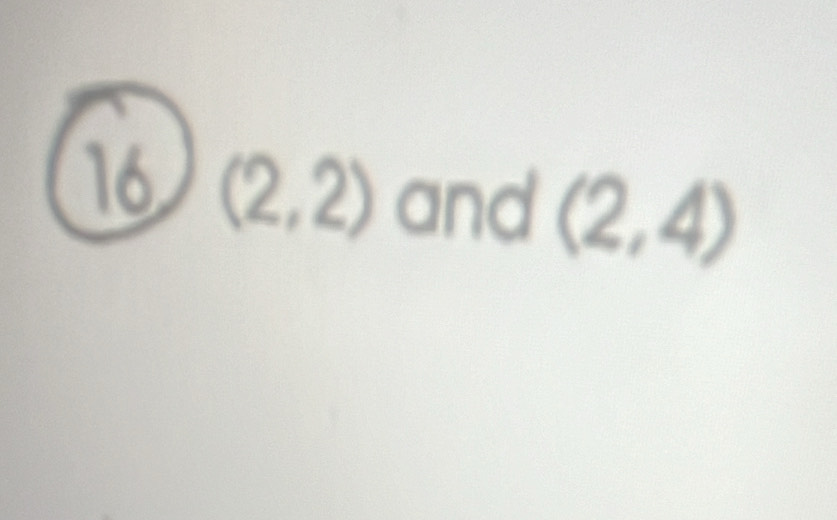 16 (2,2) and (2,4)