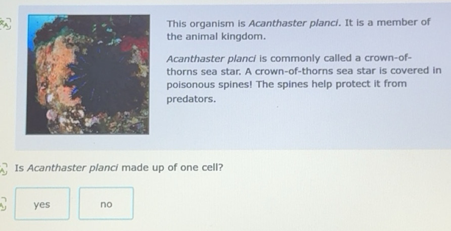 Gelöst:This organism is Acanthaster planci. It is a member of the ...