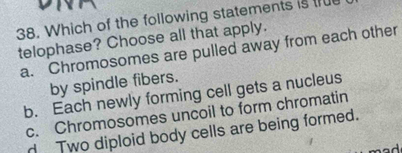 Which of the following statements is true
telophase? Choose all that apply.
a. Chromosomes are pulled away from each other
by spindle fibers.
b. Each newly forming cell gets a nucleus
c. Chromosomes uncoil to form chromatin
Two diploid body cells are being formed.