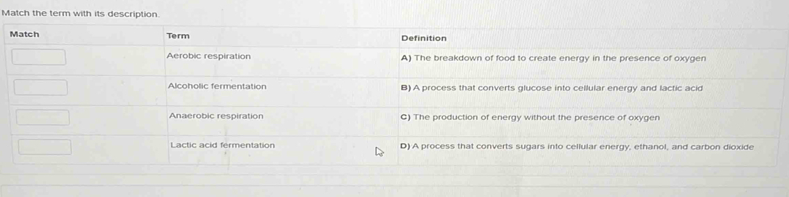 Match the term with