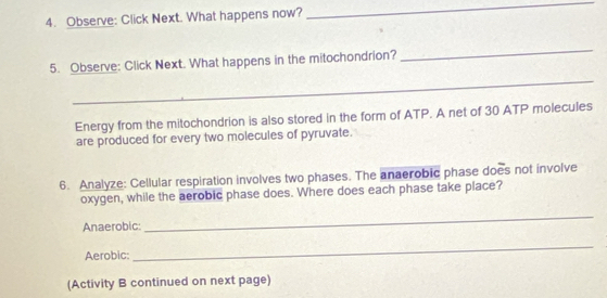 Observe: Click Next. What happens now? 
_ 
_ 
_ 
5. Observe: Click Next. What happens in the mitochondrion? 
Energy from the mitochondrion is also stored in the form of ATP. A net of 30 ATP molecules 
are produced for every two molecules of pyruvate. 
6. Analyze: Cellular respiration involves two phases. The anaerobic phase does not involve 
oxygen, while the aerobic phase does. Where does each phase take place? 
Anaerobic: 
_ 
Aerobic: 
_ 
(Activity B continued on next page)