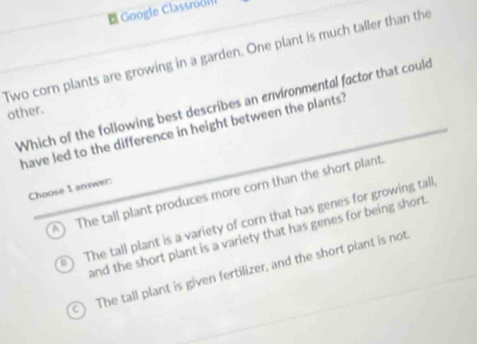 Google Classroolll
Two corn plants are growing in a garden. One plant is much taller than the
Which of the following best describes an environmental factor that could
other.
have led to the difference in height between the plants?
Choose 1 answer:
A) The tall plant produces more corn than the short plant
) The tall plant is a variety of corn that has genes for growing tall
and the short plant is a variety that has genes for being short .
) The tall plant is given fertilizer, and the short plant is not